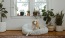 lifestyle image of a dog on a floor-chair and in a room with foliage